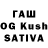 Галлюциногенные грибы Psilocybine cubensis Nation Fairy