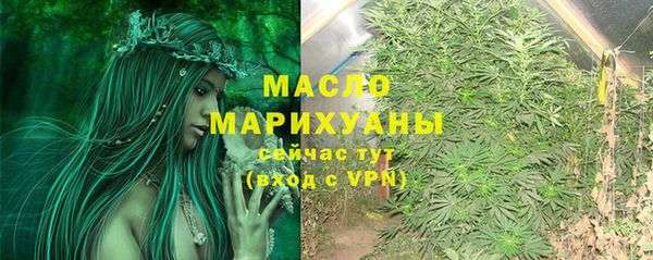 дживик Семилуки