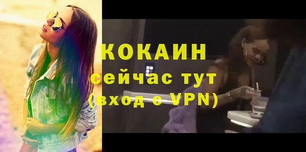 дживик Семилуки