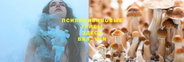 дживик Семилуки