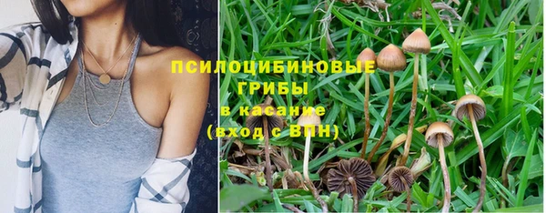 кристаллы Слюдянка